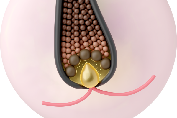 Essential Nutrients for Hair Growth and Their Benefits