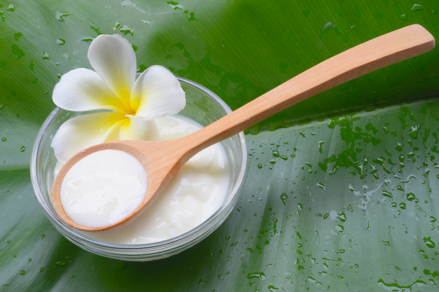 Honey Yogurt and Egg Hair Mask