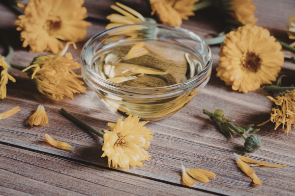 Ingredients to Look For and Avoid