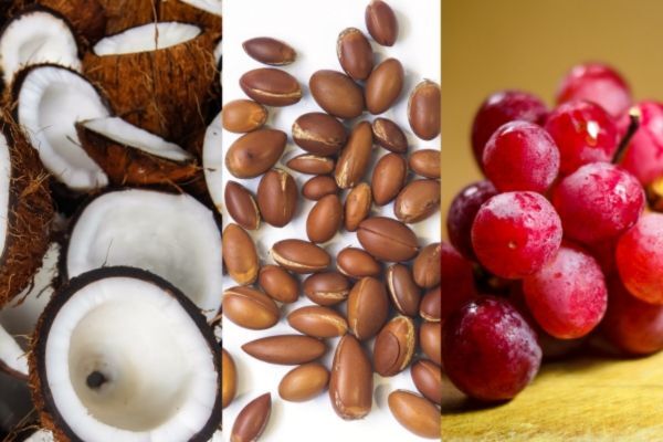 Collage featuring three natural ingredients: sliced coconuts on the left, a cluster of brown argan nuts in the center, and a bunch of red grapes on the right, representing natural and sustainable heat protectant options.