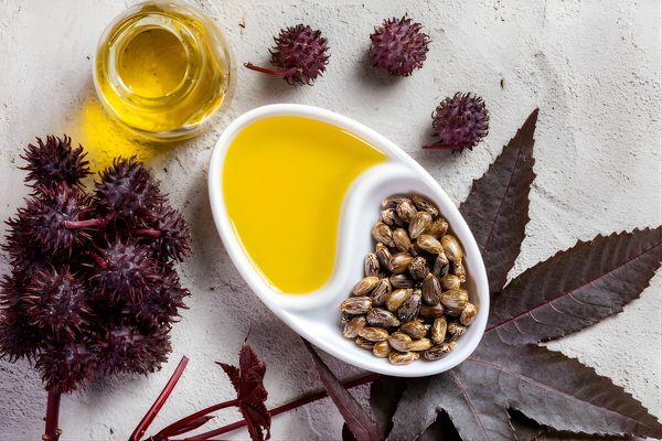 Top Oils for Hair Growth and Thickness A yin-yang style dish holding golden castor oil on one side and raw castor beans on the other, surrounded by castor plant leaves and seed pods. This natural setup highlights castor oil as one of the best hair growth oils sourced from whole ingredients.