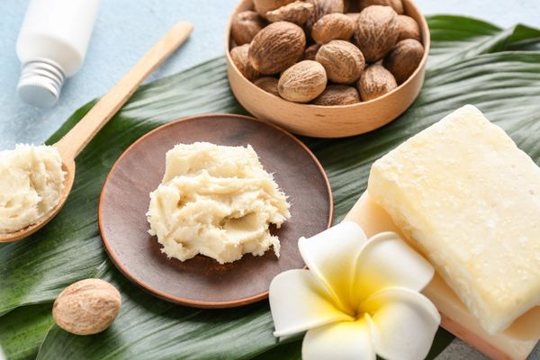 What Is Shea Butter